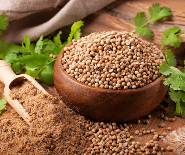 CORIANDER SEEDS