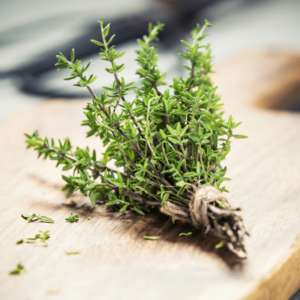 Thyme