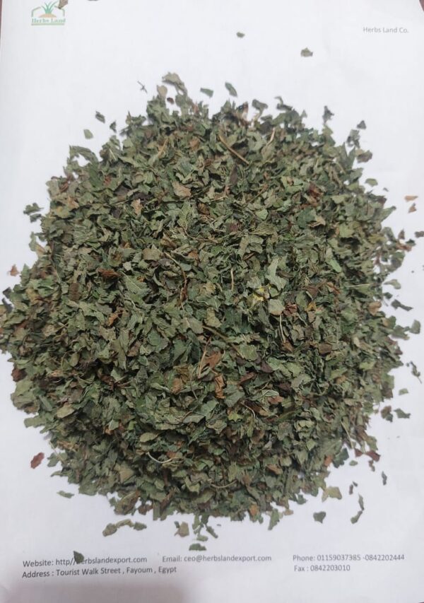 Lemon balm-crushed